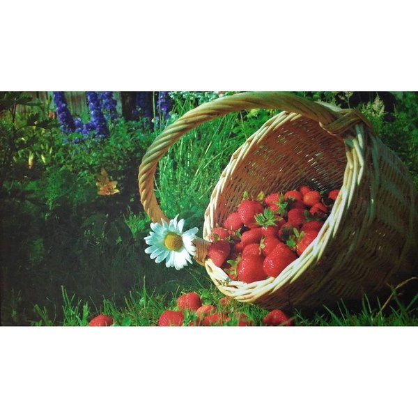 H2H DM 66 Strawberry Basket Non Slip Indoor Door Mat, 27 x 18 in. H22203671